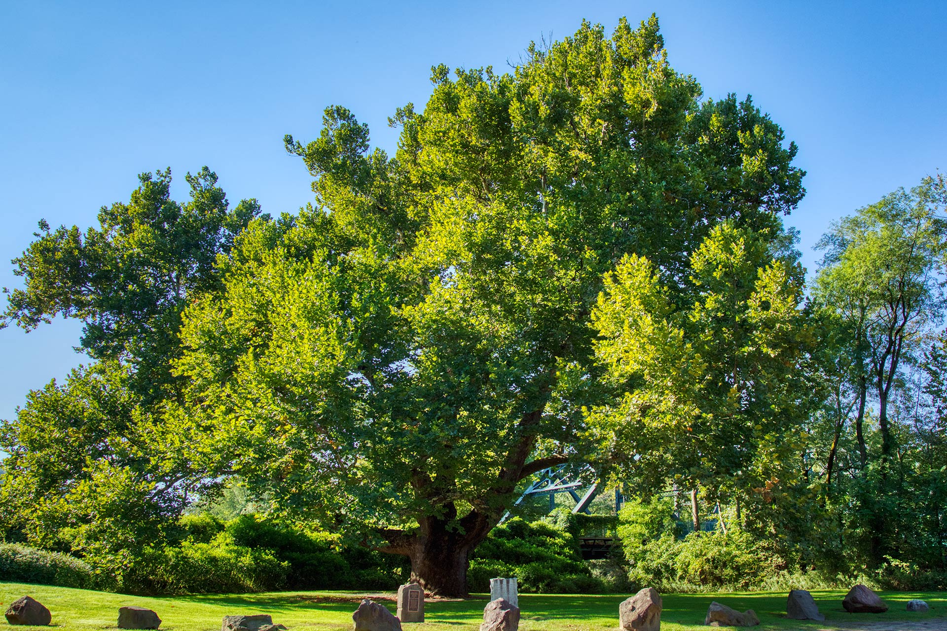 Group Active Isolated Stretch